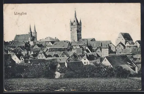 AK Wimpfen, Ortsansicht mit Kirche