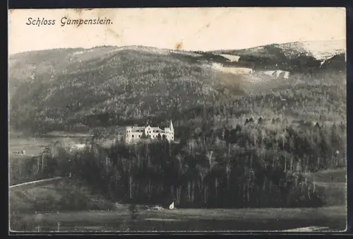 AK Irdning /Stmk., Schloss Gumpenstein