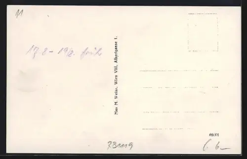 AK Bad-Aussee, Teilansicht mit Bäumen