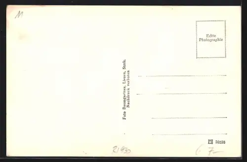 AK Liezen /Stmk., Teilansicht mit Bergen