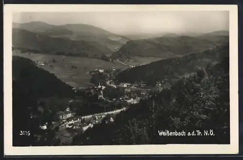AK Weissenbach a. d. Tr., Teilansicht mit Bäumen