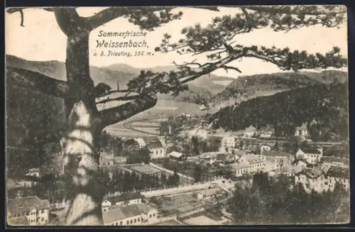 AK Weissenbach a. d. Triesting, Blick auf den Ort