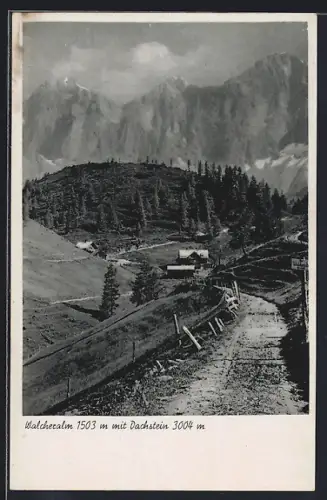AK Ramsau am Dachstein, Walcheralm, Wegpartie mit Blick zum Dachstein