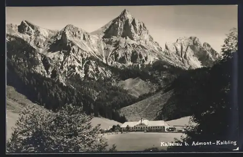 AK Admont, Schloss Kaiserau vor Gebirgspanorama