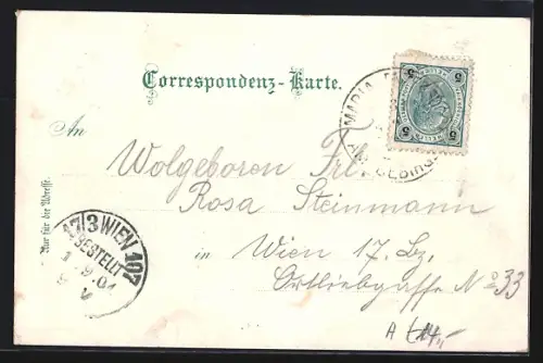 Lithographie Maria Enzersdorf, Schloss Liechtenstein, Ortsansicht, Gnadenbild