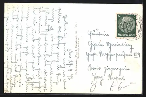 AK Neumarkt a. d. Ybbs, Strassenpartie