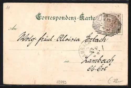 Lithographie Admont, Blasius Münster, Bibliothek des Stiftes, Ortsansicht mit Buchstein