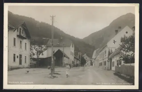 AK Steinach /Steiermark, Strassenpartie