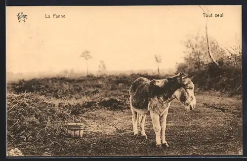 AK La Panne, Tout seul