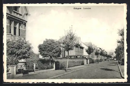 AK Edegem, Lentelei