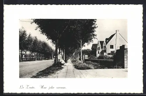 AK Le Zoute, Une jolie avenue