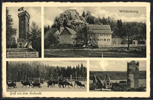 AK Hilscheid, Erbeskopf, Wildenburg, Aussichtsturm, Ruine Baldenau