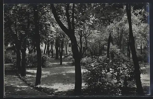 Foto-AK Neudietendorf, Parkpartie mit Gebäude und Weg