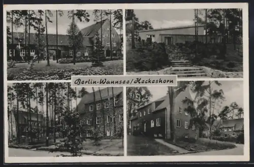 AK Berlin-Wannsee, Heckeshorn, Gebäudeansichten mit Anlagen, Flachbau mit Treppenzugang