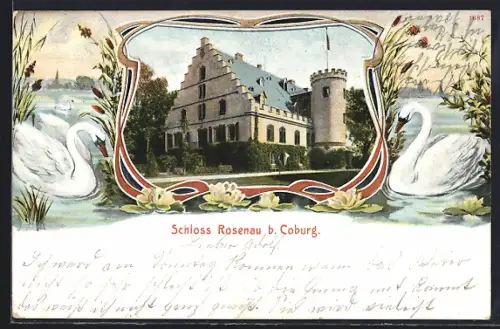 AK Oeslau, am Schloss Rosenau, Schwäne auf dem See