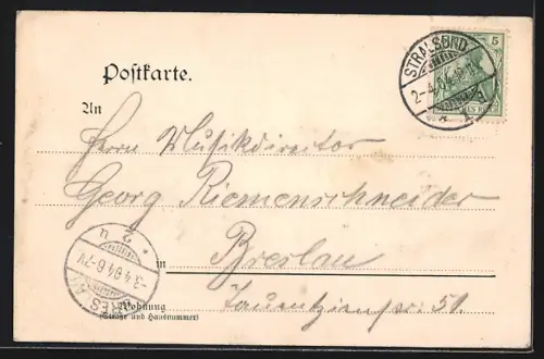 AK Stralsund, Gasthaus Rathaus-Bierkeller F. Klemm, Rathausgebäude, Innenansichten, Rahmen, Hopfen