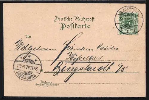 Lithographie Braunschweig, Rathaus, Andreas-Kirche, Totalansicht mit historischen Gebäuden u. Anlage am Ufer