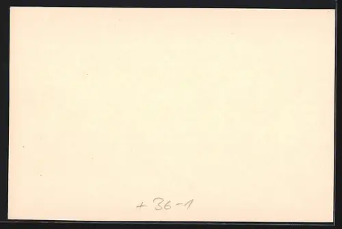 Künstler-AK Berlin-Schmargendorf, Kirchenaustritts-Marke, Komitee Konfessionslos, Excellenz Ernst Haeckel, Religion