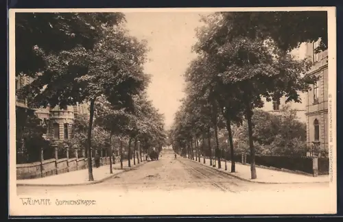 AK Weimar / Thüringen, Sophienstrasse mit Anwohnern