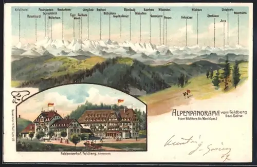 Lithographie Feldberg /Schwarzwald, Gasthaus Feldbergerhof und Alpenpanorama