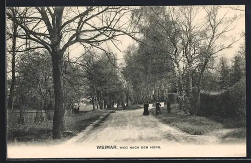 AK Weimar / Thüringen, Weg nach dem Horn