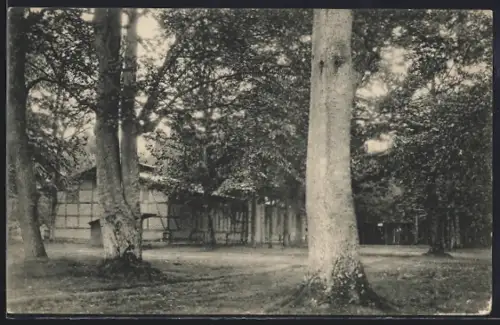AK Lübtheen, Lansch mit Haus des Schützenvereins