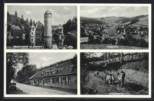 AK Hessenthal /Spessart, Gasthaus zur Post, Bes. Rud. Lamster, Wildschweine, Märchenschloss im Spessart
