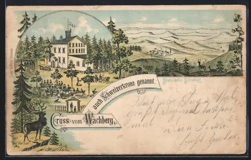Lithographie Wachberg / Sächs. Schweiz, Hotel Schweizerkrone mit Terrasse, Hirsch