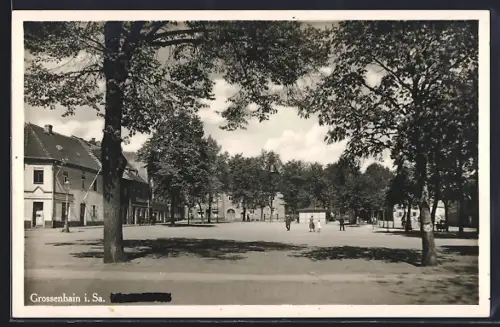 AK Grossenhain / Sachsen, Strassenpartie am Lindenplatz (Lessingplatz)