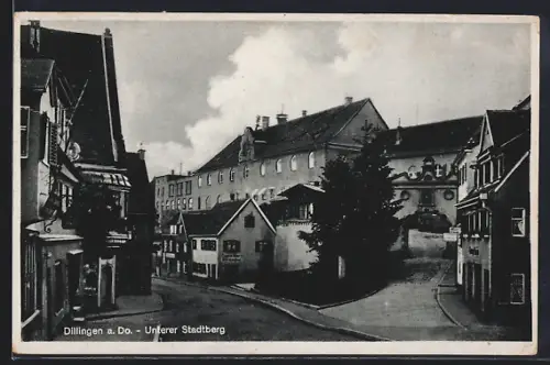AK Dillingen a. Do., Strasse Unterer Stadtberg