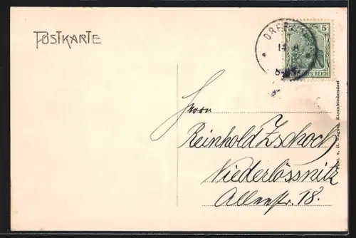 AK Drebach, Gasthof zur Wilhelms-Höhe, 400 Jahre alte Zedernbaum, Harfenfichte