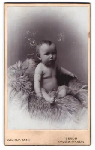 Fotografie Wilhelm Stein, Berlin, Chausseestr. 65/66, Porträt eines Kleinkindes auf Pelz
