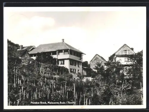 AK Gudo, Pension Brack, Malacarne
