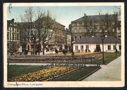 AK Ludwigshafen /Rhein, Partie am Ludwigsplatz