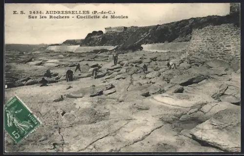 AK Audresselles /P.-de-C., Sur les Rochers, Cueillette de Moules