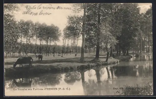 AK La Ternoise /P.-de-C., Panorama mit Kühen