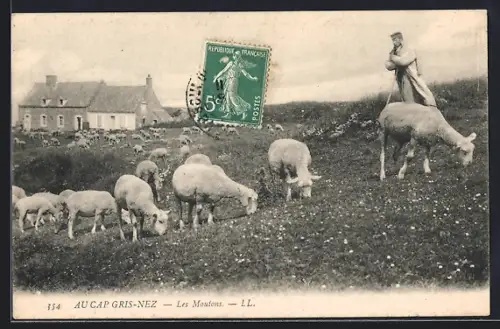 AK Cap Gris-Nez, Les Moutons
