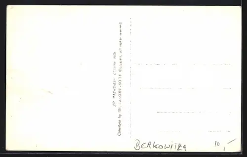 AK Berkowitza, Panorama