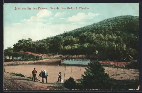 AK Prinkipo, Vue de Dias Kedos mit Anwohnern