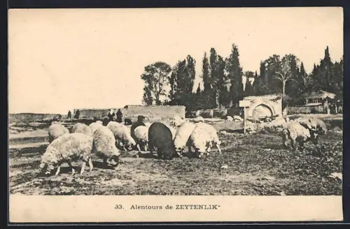 AK Zeytenlik, Alentours