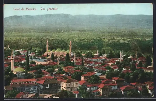 AK Brousse, Vue générale