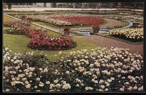AK Essen, GRUGA Grosse Ruhrländische Gartenbau-Ausstellung 1929, Pergolagarten mit Rosenanlage