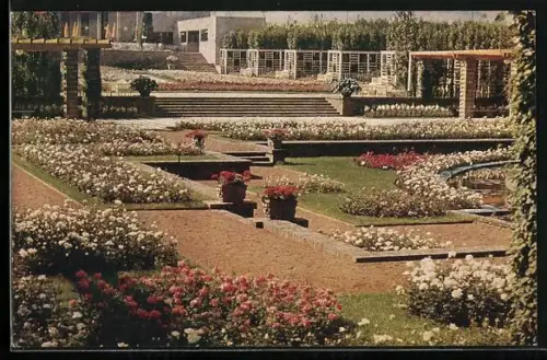 AK Essen, Gruga-Grosse Ruhrländische Gartenbau-Ausstellung 1929, Pergolagarten mit Rosenanlage und Rosencafè
