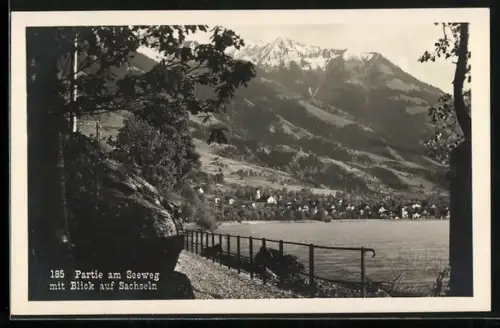 AK Sachseln, Partie am Seeweg mit Blick auf die Ortschaft