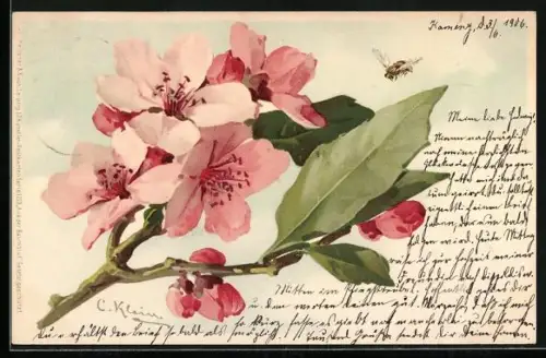 Künstler-AK Catharina Klein: Zweig mit rosa Blüten und Biene
