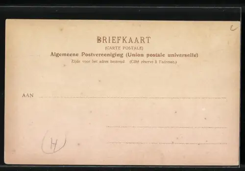 AK 's-Gravenhage, Marktdag