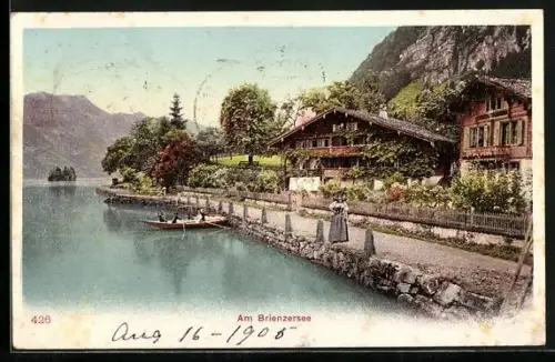 AK Brienz, Partie am Brienzersee