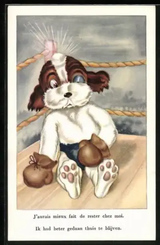 AK Hund mit Boxhandschuhe im Ring, Boxen