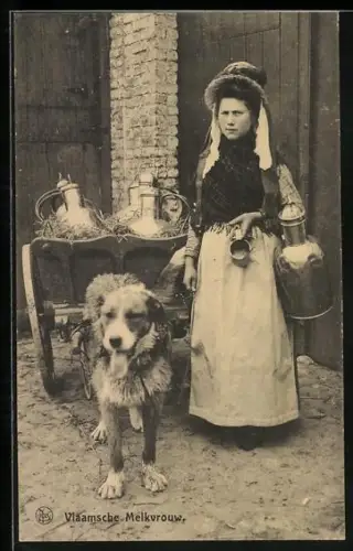 AK Laitiere flamande, Milchbäuerin mit Hundegespann