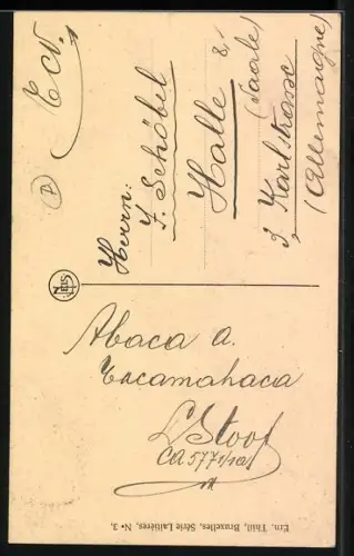 AK Laitière Flamande, Flämisches Milchmädchen in Tracht